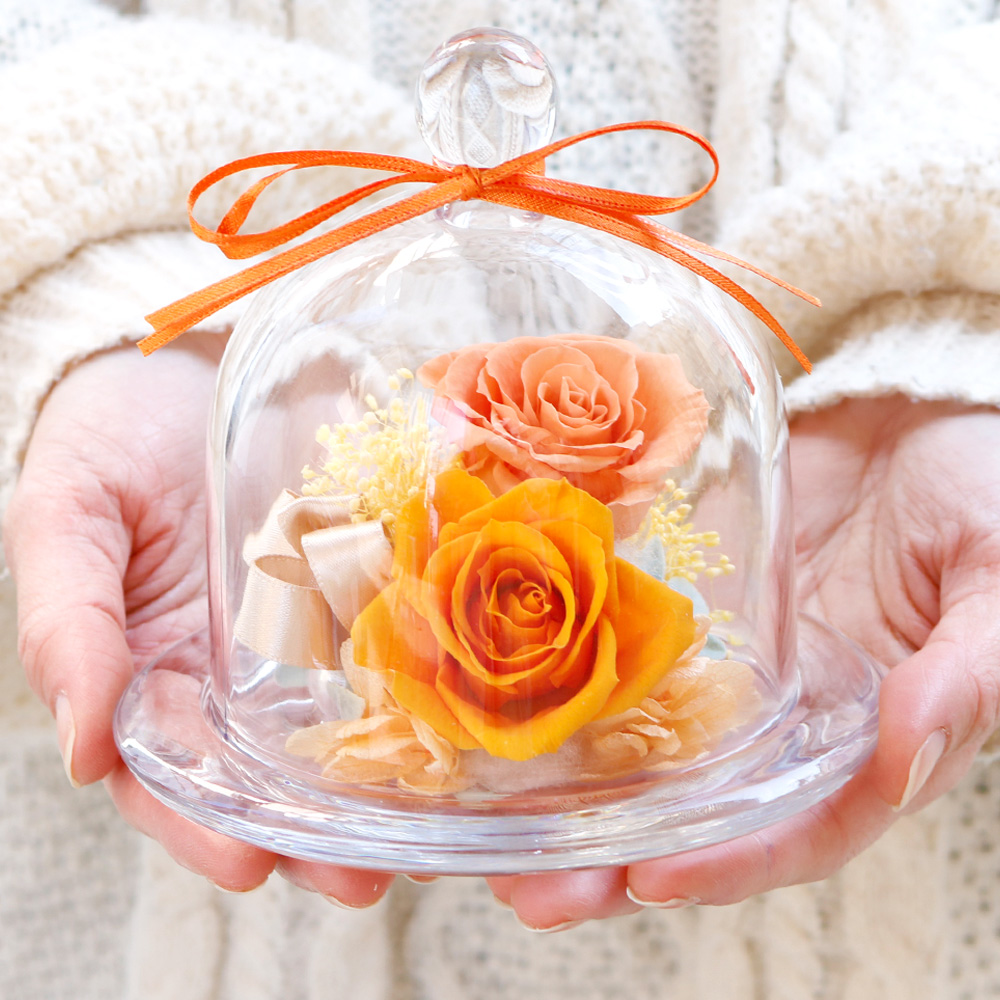 ガラスドーム-フィオーレ-(オレンジ) /プリザーブドフラワー