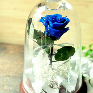 forever in love(ブルー) /一輪バラのガラスドーム【送料無料】