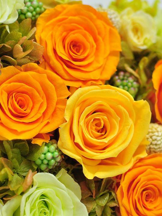 ライムオレンジ フレーム型プリザーブドフラワー 送料無料 プリザーブドフラワーの通販はフルールドゥマカロン