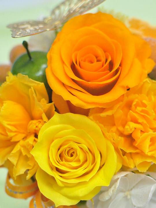 プリザーブドフラワー オレンジ 黄色 バラ 送別会 誕生日 アレンジ
