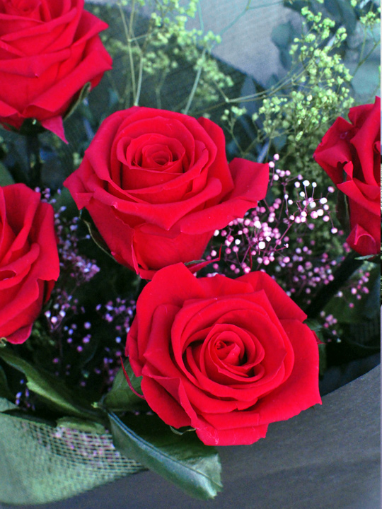 プリザーブドフラワー 花束 赤バラ 5輪 シンプル プロポーズ サプライズ