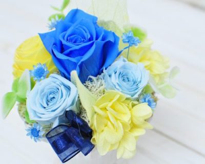 鮮やかなブルーと水色に着色されたバラ