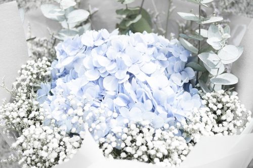 白いかすみ草と青のアジサイ、ユーカリのシンプルな花束