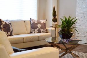 アイボリー色のソファーがあるリビングに植物を飾ってある画像