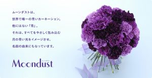 色別 カーネーションの色別 7つの花言葉 贈るとき注意なカラーも プリザーブドフラワー専門通販サイトのフルールドゥマカロン