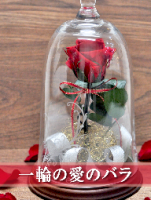 美女と野獣のようなガラスドームに入った一輪のプロポーズ用の赤バラ