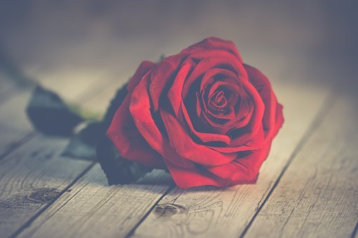 プロポーズに使える花言葉9選 愛の花言葉でプロポーズするには プリザーブドフラワー専門通販サイトのフルールドゥマカロン